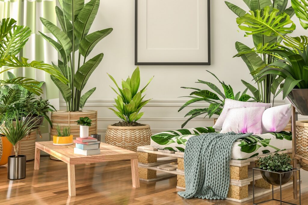 mobilier salon plantes
